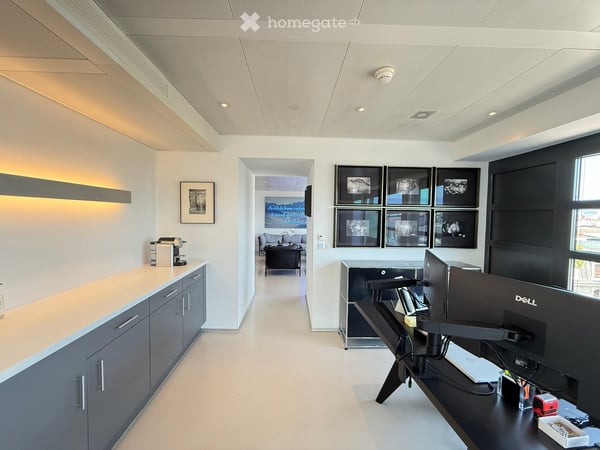 Bureau d'exception à Genève — immense terrasse, vue Jet d'Eau, clé en main, mobilier disponible 19