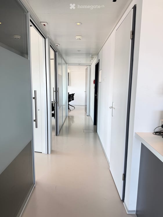 Bureau d'exception à Genève — immense terrasse, vue Jet d'Eau, clé en main, mobilier disponible 5