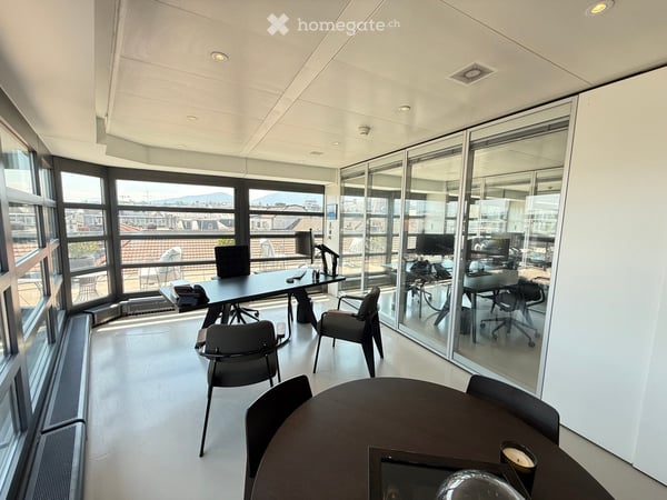 Bureau d'exception à Genève — immense terrasse, vue Jet d'Eau, clé en main, mobilier disponible 13