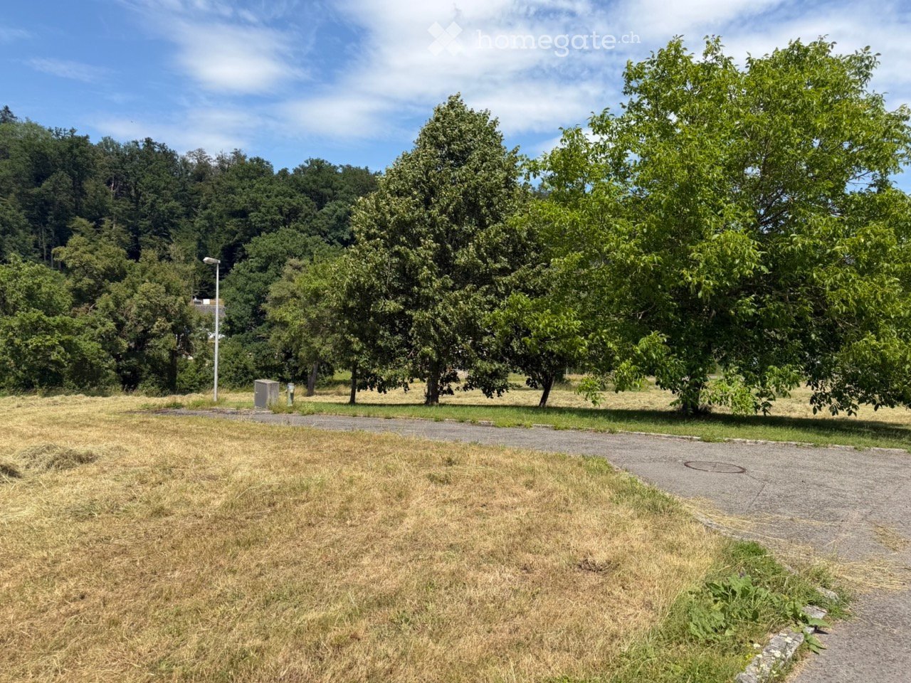 Open grassy area with scattered trees, a paved pathway, and a small utility box in the background.