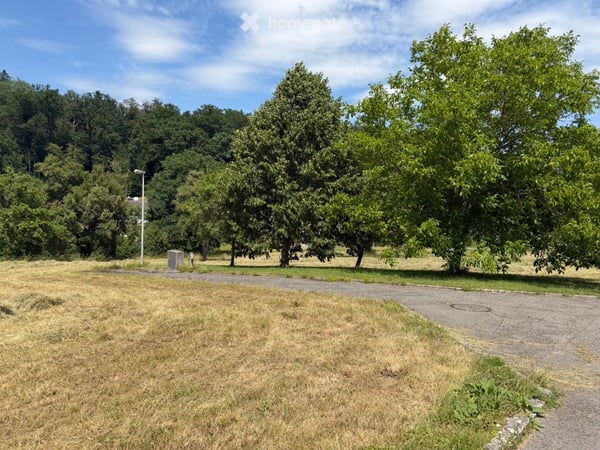 Terrain à bâtir viabilisé CHF 60.-m² avec belle vue à Basse-Vendline 1
