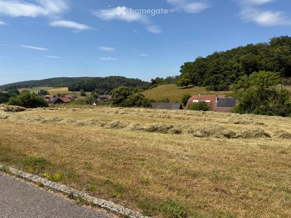 Terrain à bâtir viabilisé CHF 60.-m² avec belle vue à Basse-Vendline 2