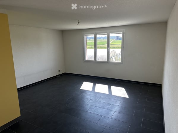 Charmante 4.5-Zimmer-Wohnung mit Terrasse im grünen und herrlicher Aussicht in Fräschels 9