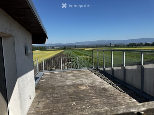 Charmante 4.5-Zimmer-Wohnung mit Terrasse im grünen und herrlicher Aussicht in Fräschels 4