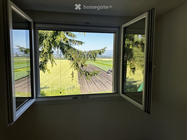 Charmante 4.5-Zimmer-Wohnung mit Terrasse im grünen und herrlicher Aussicht in Fräschels 17