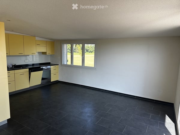 Charmante 4.5-Zimmer-Wohnung mit Terrasse im grünen und herrlicher Aussicht in Fräschels 5