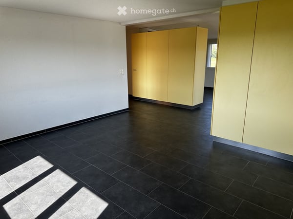 Charmante 4.5-Zimmer-Wohnung mit Terrasse im grünen und herrlicher Aussicht in Fräschels 8