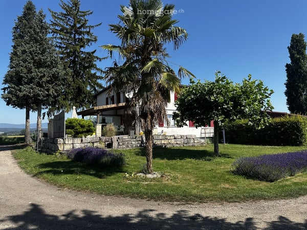 Charmante 4.5-Zimmer-Wohnung mit Terrasse im grünen und herrlicher Aussicht in Fräschels 2