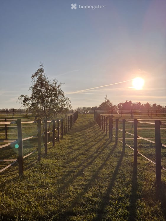 Traumhafte Reitanlage mit stilvollem Wohnen und bester Infrastruktur 1