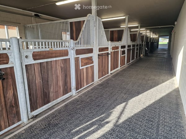 Traumhafte Reitanlage mit stilvollem Wohnen und bester Infrastruktur 3