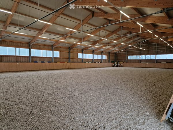 Traumhafte Reitanlage mit stilvollem Wohnen und bester Infrastruktur 4