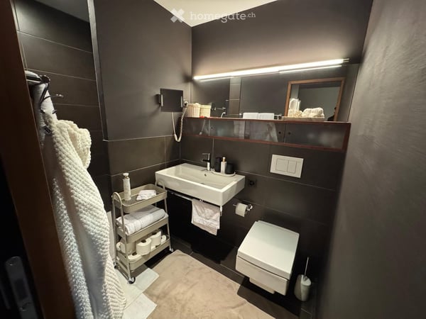 Moderne 2.5-Zimmer-Eigentumswohnung mit Ausbaupotenzial zur 3.5-Zimmer-Wohnung 7
