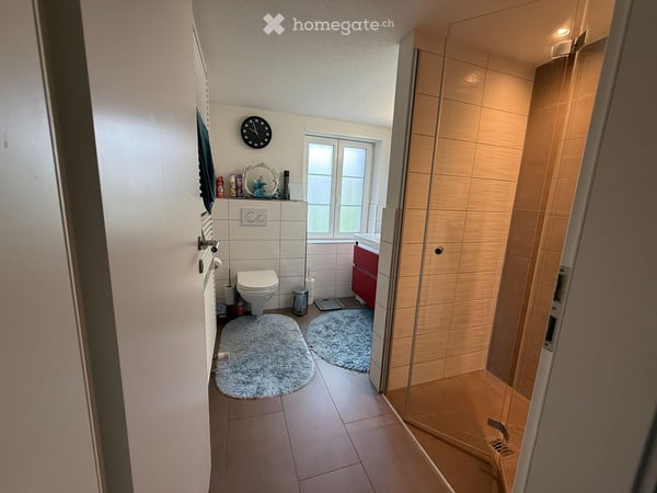 Charmante 3.5-Zimmer-Wohnung mit Balkon in Boniswil – ab Oktober 2026 verfügbar 3