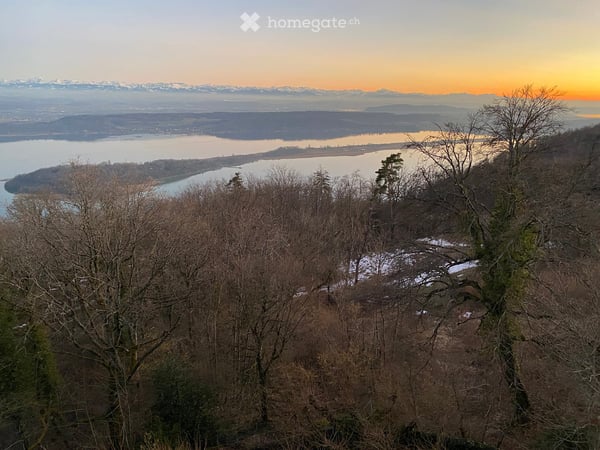 Aperçu de l'image de l'immobilier