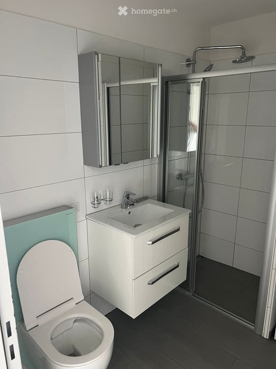 Helle 3.5-Zimmer-Wohnung mit Balkon in Dottikon – ab August 2026 verfügbar 5
