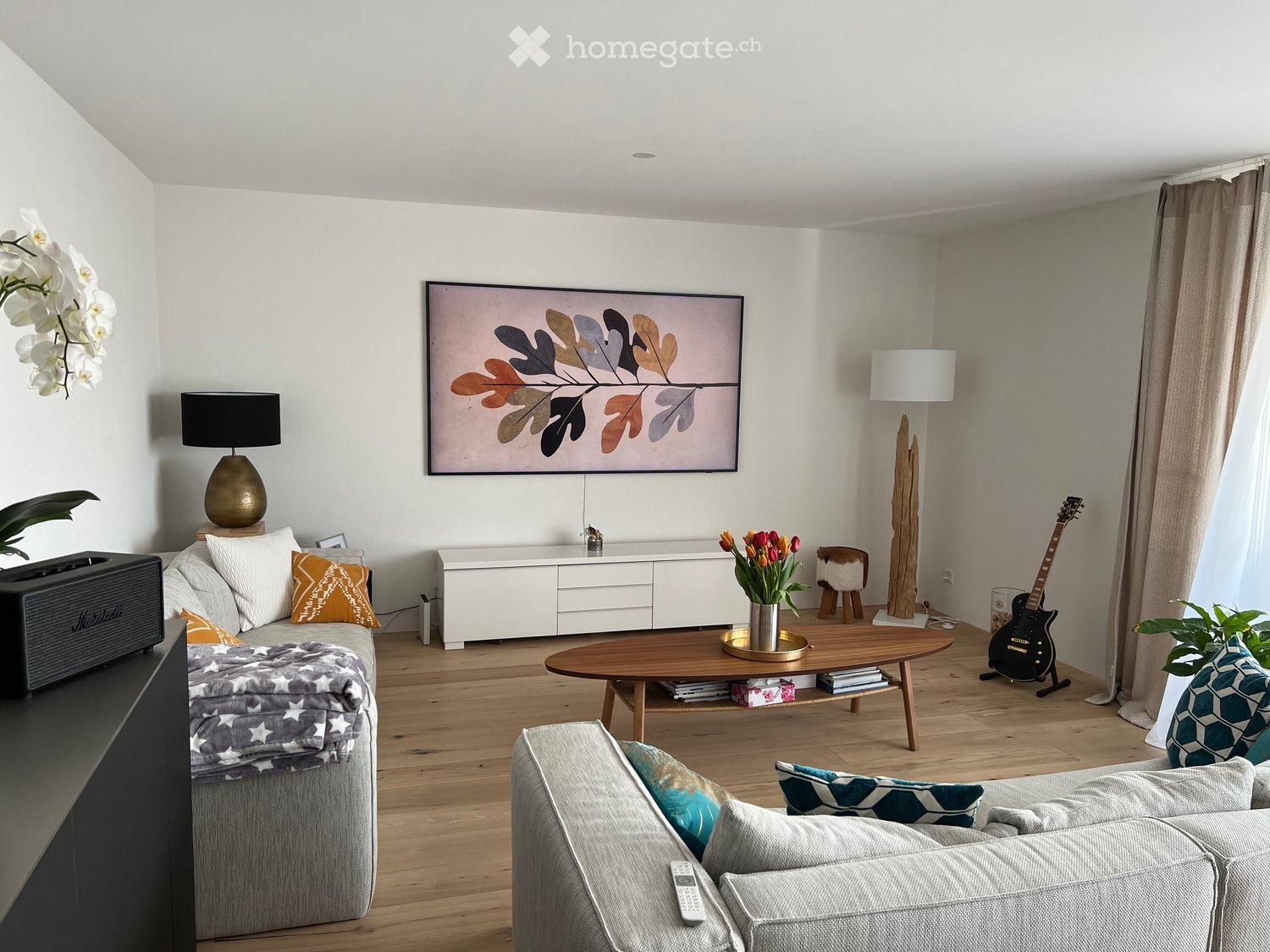 Living room with sofa, coffee table, TV, center table, speaker, white walls, flooring, plants, lamp, cabinet, artwork, remote control