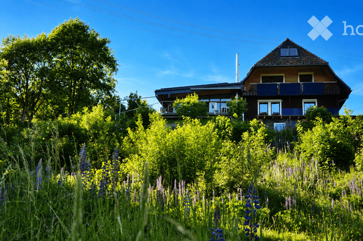 A two-story house with a pitched roof, surrounded by lush greenery and wildflowers under a clear blue sky.
