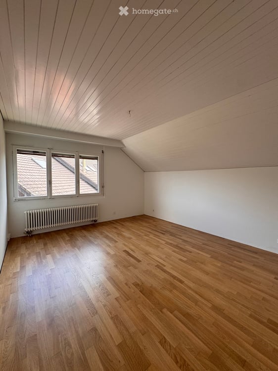 Attraktive Attikawohnung in Mettmenstetten 10