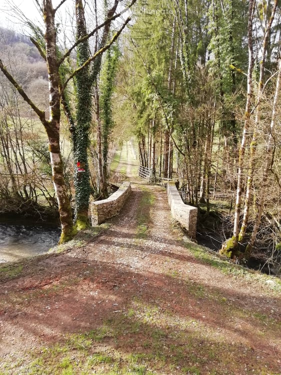 Maison familiale de 6 pièces à Nevy-sur-Seille – Rénovée en 2025 42