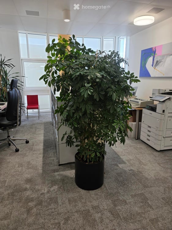 Modernes Büro - mit der Übernahme des gesamten Mobiliars und Einrichtungen inkl. IT 8