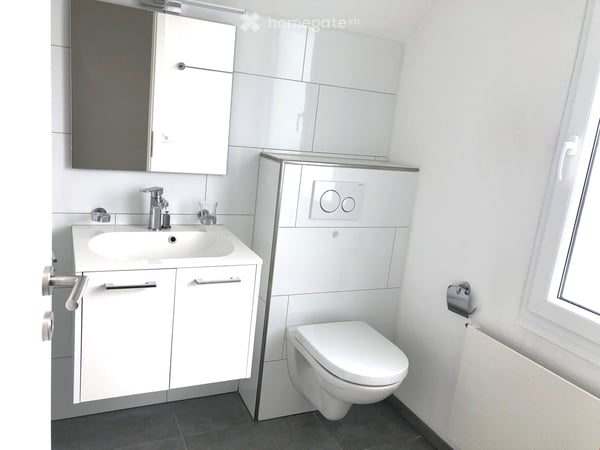 Moderne 2.5-Zimmer-Dachwohnung mit Balkon an zentraler Lage 3