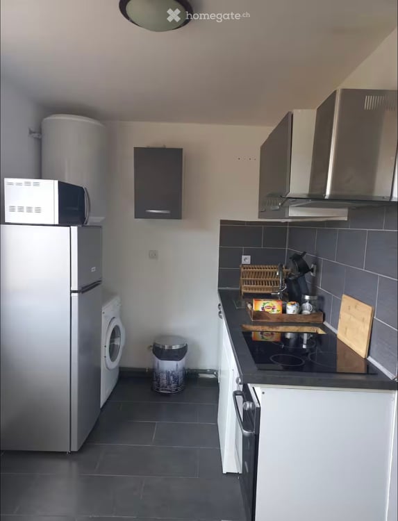 Appartement 3.5 pièces lumineux à Grand-Lancy 1