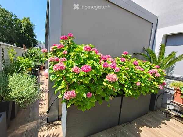 Superbe appartement de standing HPE avec oasis de verdure privative et annexes suréquipées – Chancy 15