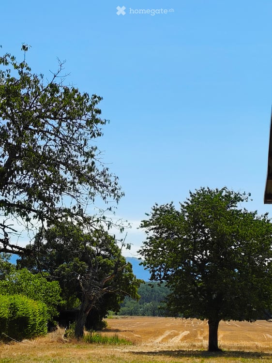 Superbe appartement de standing HPE avec oasis de verdure privative et annexes suréquipées – Chancy 14