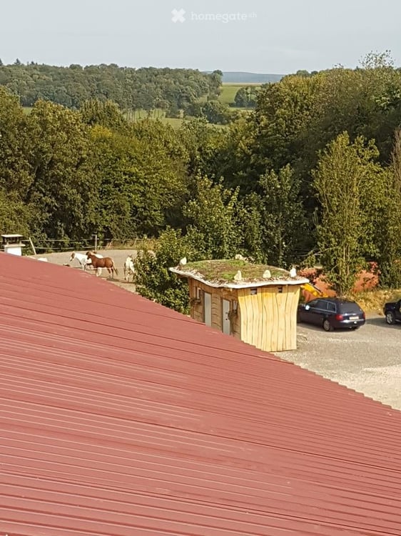 Einzigartige Pferderanch mit vielseitigem Nutzungspotential 13