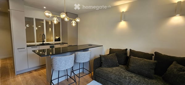 Superbe studio meublé de standing avec jardin, terrasse, grande cave et grand parking intérieur 6