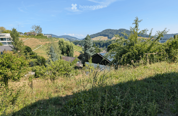 Charmantes 4.5-Zimmer-Einfamilienhaus mit grossem Gartenparadies und separater Garage in Eglisau 2