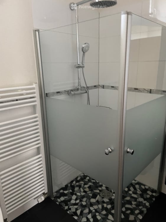 Herrliche 4.5-Zimmer-Wohnung mit grosser Terrasse in Aesch BL 7