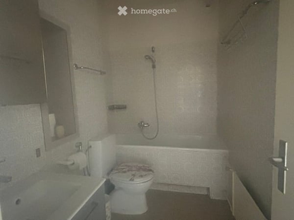 Spacieux appartement de 7 pièces avec vue et balcon à Le Grand-Saconnex 6