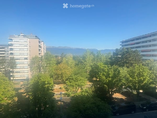 Spacieux appartement de 7 pièces avec vue et balcon à Le Grand-Saconnex 8