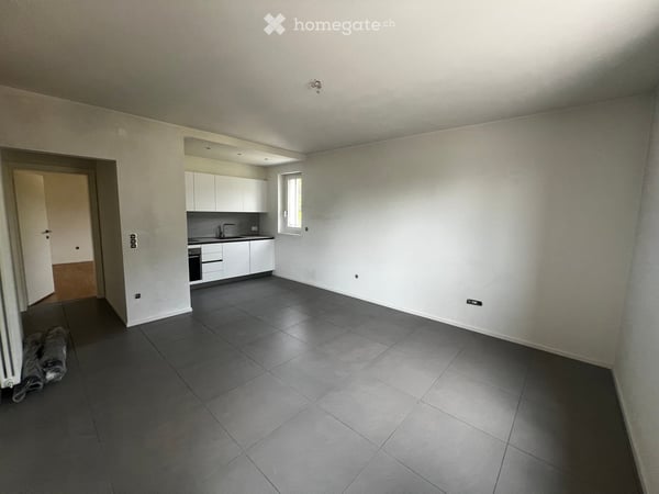 Disponibili 2 Appartamenti con terrazzo di 3.5 locali a Besazio, in affitto immediato
