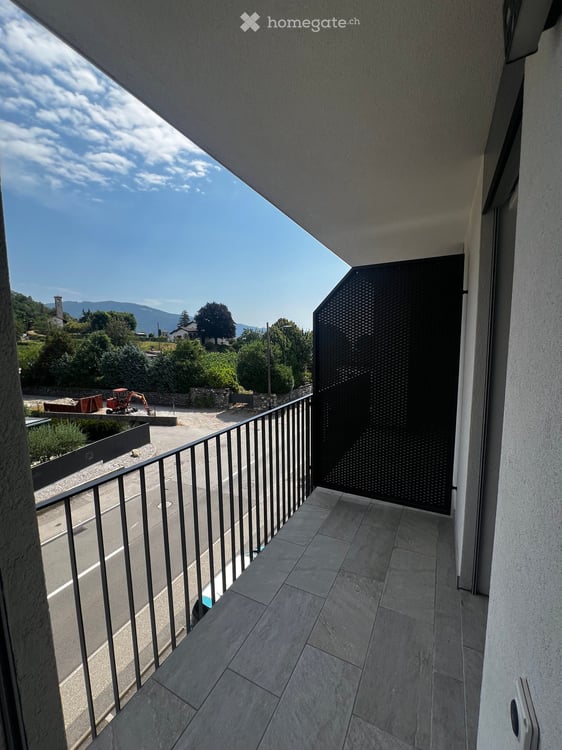 Disponibili 2 Appartamenti con terrazzo di 1.5 locali a Besazio, in affitto immediato 8