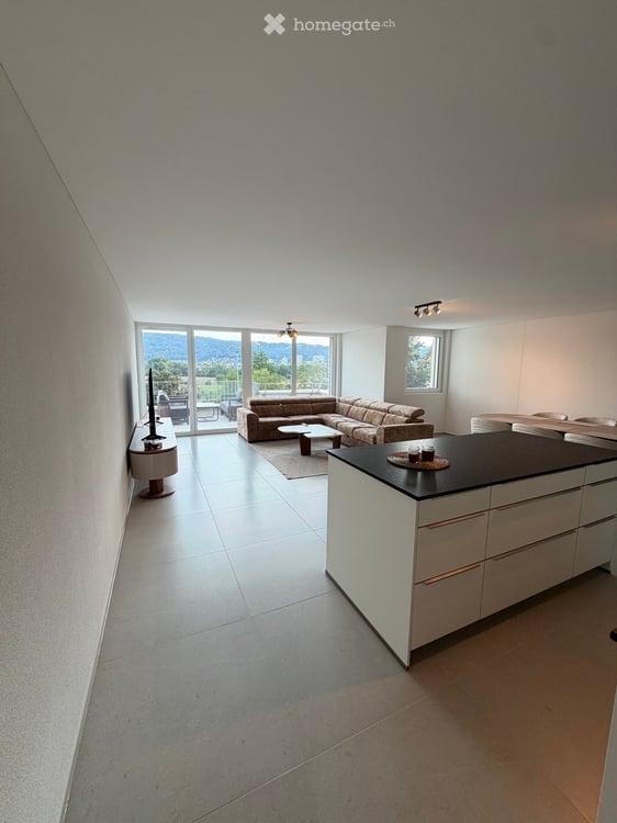 Möblierte Neubau Attikawohnung Erstbezug 1