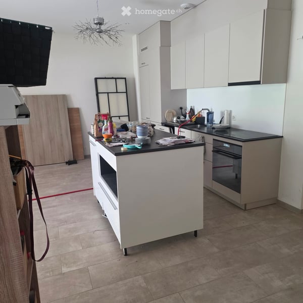 Appartement neuf de 2.5 pièces avec terrasse jardin à Crissier – Disponible immédiatement 1
