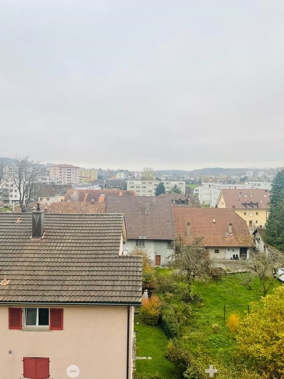 MAGNIFIQUE 3.5 pcs, balcon, vue sur les Alpes, rénové en 2022, état neuf 7