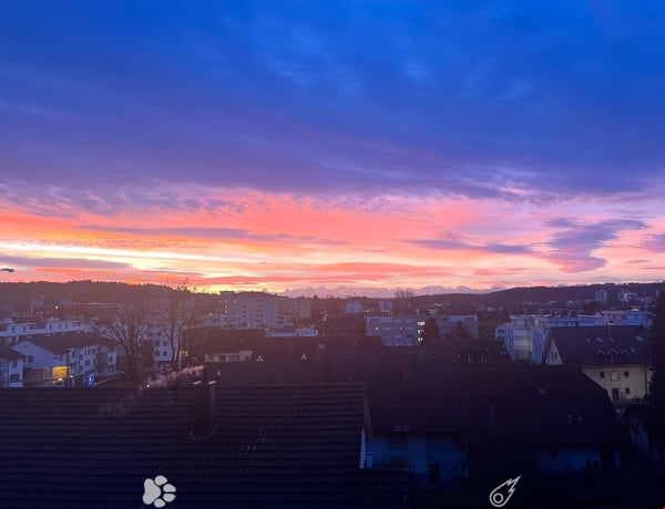 MAGNIFIQUE 3.5 pcs, balcon, vue sur les Alpes, rénové en 2022, état neuf 1