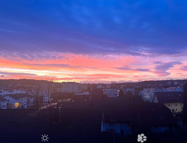 MAGNIFIQUE 3.5 pcs, balcon, vue sur les Alpes, rénové en 2022, état neuf 1