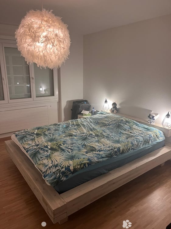 MAGNIFIQUE 3.5 pcs, balcon, vue sur les Alpes, rénové en 2022, état neuf 4