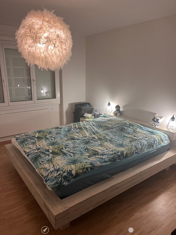 MAGNIFIQUE 3.5 pcs, balcon, vue sur les Alpes, rénové en 2022, état neuf 4