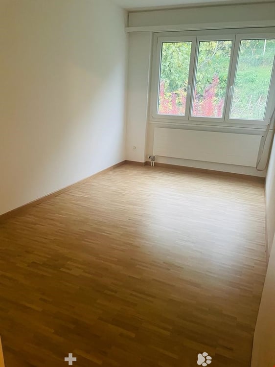 MAGNIFIQUE 3.5 pcs, balcon, vue sur les Alpes, rénové en 2022, état neuf 6