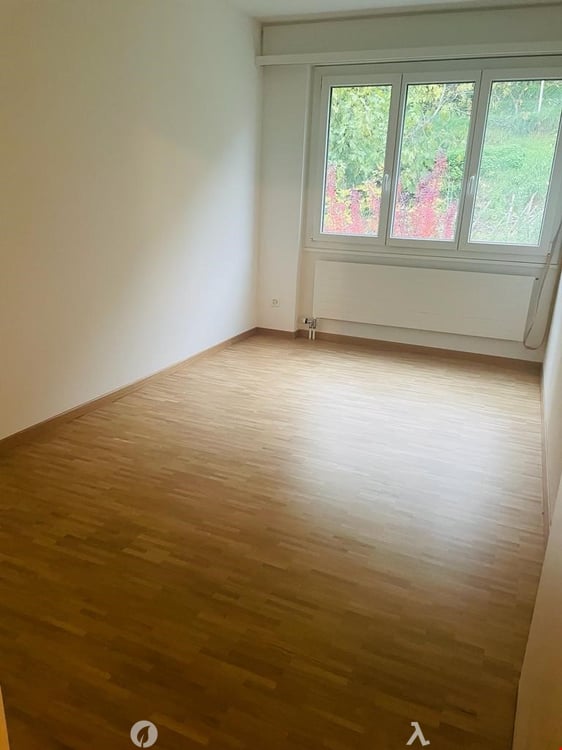 MAGNIFIQUE 3.5 pcs, balcon, vue sur les Alpes, rénové en 2022, état neuf 6
