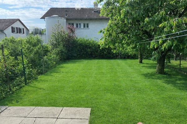 Neuwertiges 5.5-Zimmer-Einfamilienhaus mit Gartenblick in Suhr 2