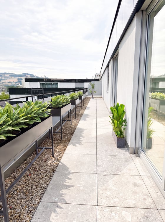 Exklusive 131 m² Attika in Sursee mit 135 m² Terrasse 8