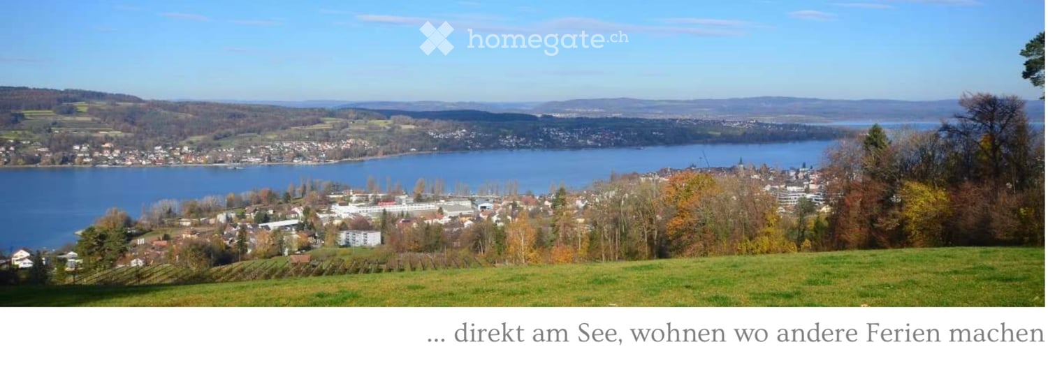 Panoramic view of a town and lake from a grassy hill, with trees and buildings visible.