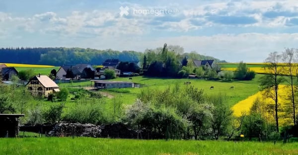 Charmante Pferdeliegenschaft im Südelsass- historisches Juwel mit modernem Komfort 30