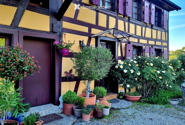 Charmante Pferdeliegenschaft im Südelsass- historisches Juwel mit modernem Komfort 2